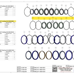 FLUSHING SEAL KIT_1838MEX