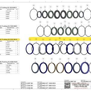 3060 FLUSHING SEAL KIT - INC GUIDES